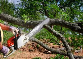  Montalvin Manor, CA Tree Removal and Landscaping Services Pros